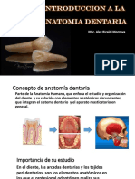 Tema1 - Introducción A La Anatomía Dentaria