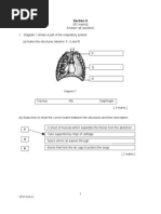 Form 2 Science Exercise by Kelvin - Chapter 2 | PDF | Food And Drink ...