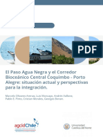El Paso Agua Negra y El Corredor Bioceánico Central UCN AGCID 2020 1