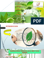 Trabajo de Expocision- Medio Ambiente