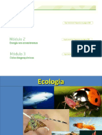 Os principais ciclos biogeoquímicos