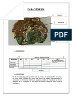 PARAGÉNESIS