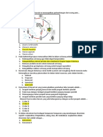 Simama - Biologi - 14 Mei 2020