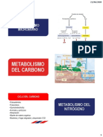 Metabolismos Microbiano