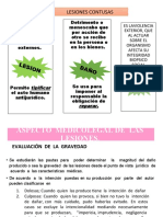 Lesiones - Primera Guía Del Dr.