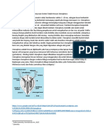 Ctenophora Organ dan Struktur