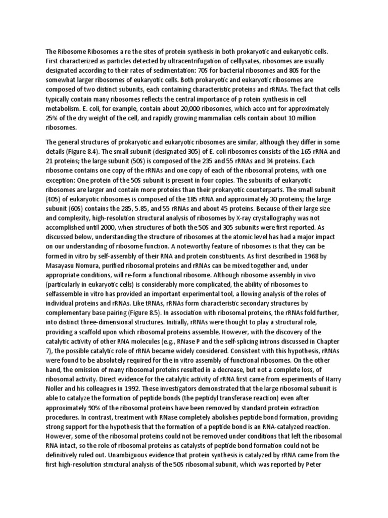 The Ribosome Ribosomes A Re The Sites of Protein Synthesis in Both ...