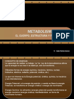 Metabolismo Basal2