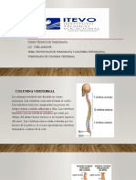 Presentación Columna Vertebral