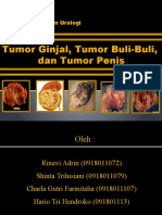Tumor Ginjal, Tumor Buli-Buli