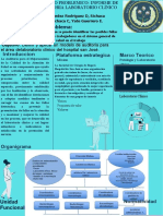 Nucleo Problemico - Informe de Auditoria Laboratorio Clínico