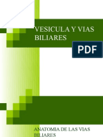 vesiculayviasbiliares-090405123826-phpapp02