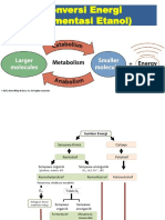 Prak MG 6 - PPT. Konversi Energi-Etanol