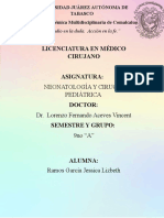 Ensayo Uni. 1 Ramos - Garcia-Jessica Lizbeth - Neonatología