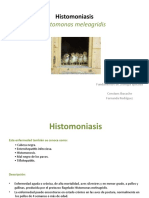 Histomoniasis