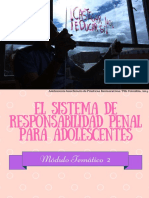 Sistema de Penal