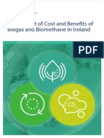 Assessment-of-Cost-and-Benefits-of-Biogas-and-Biomethane-in-Ireland