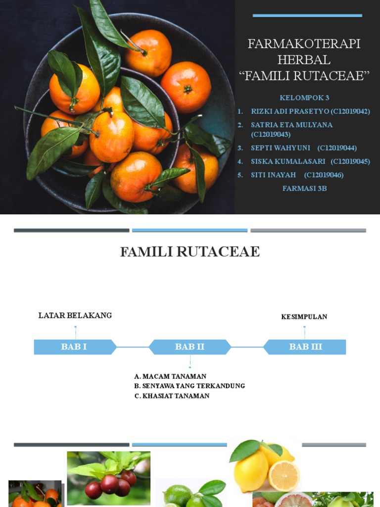 RUTACEAE | PDF