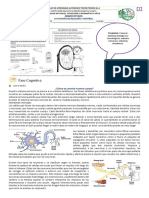 Octavo Taller 1-Iiip