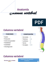 9. Anatomia de columna,medula