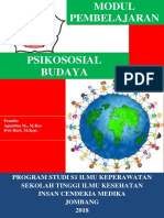 Psikososial Budaya Dalam Keperawatan