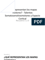 Mapas Motores, Talentos Somatosensitivomotores y Espacio Cortical