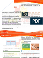 P1.6 VNR GENERALIDADES DE HELMINTOS 22-03-18 Dr. Aguirre