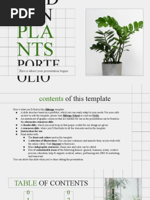 Modern Plants Portfolio