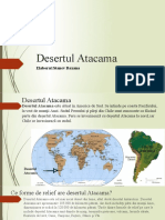 Desertul Atacama