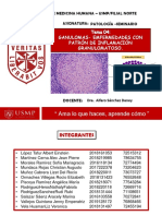 Exposición N°4 - Patología Seminario-Grupo N°10