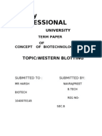 Lovely Professional: Topic:Western Blotting
