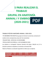 Trabajo Poster Anatomía I 2020-2021 PDF