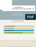 Chương IV-2. Cơ Chế Di Truyền Ở Cấp Độ Phân Tử