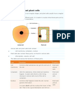 Plant-Animal Cell Comparison-2