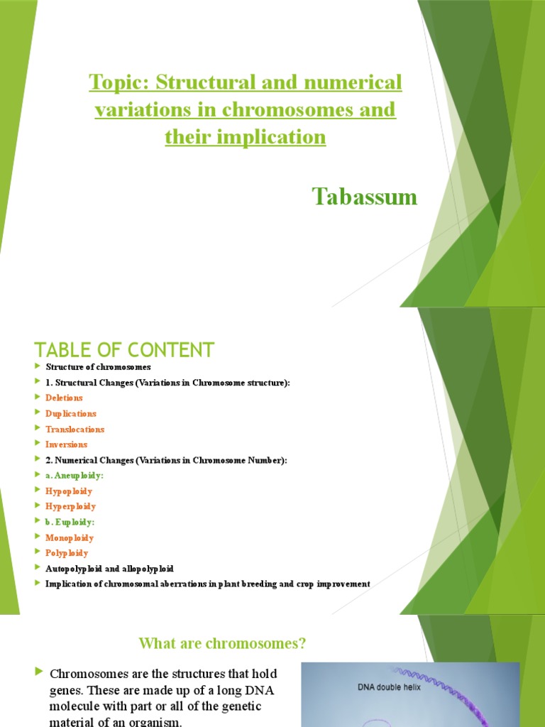 Chromosome Variations in Plants | PDF | Ploidy | Chromosome