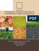 60 Pulses Villages