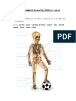 GUIA DE TRABAJO HUESOS Y MUSCULOS Ed. Fisica 1