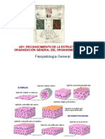 Fisiopatología General: Ud1: Reconocimiento de La Estructura Y Organización General Del Organismo Humano