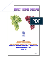 India's Grape Production, Marketing and Utilization