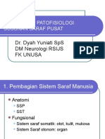 Anatomi Patofisiologi Stroke
