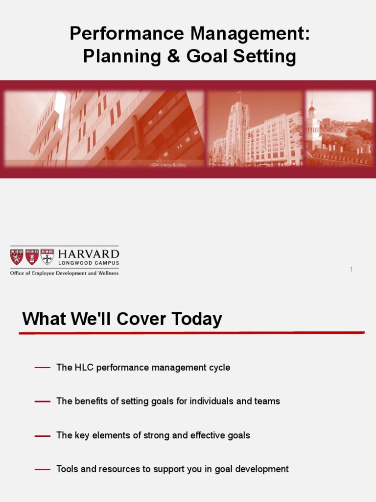 Effective Performance Management Goals | PDF | Goal | Goal Setting
