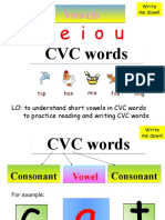 Vowels and CVC5334
