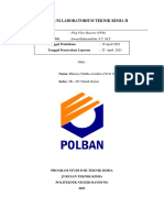 Laporan Praktikum PFR Rheisya 2B