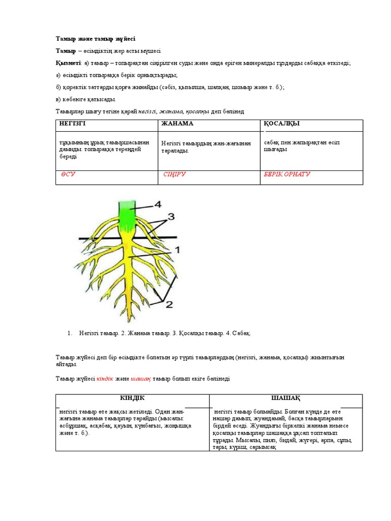 Марина Максимона порно