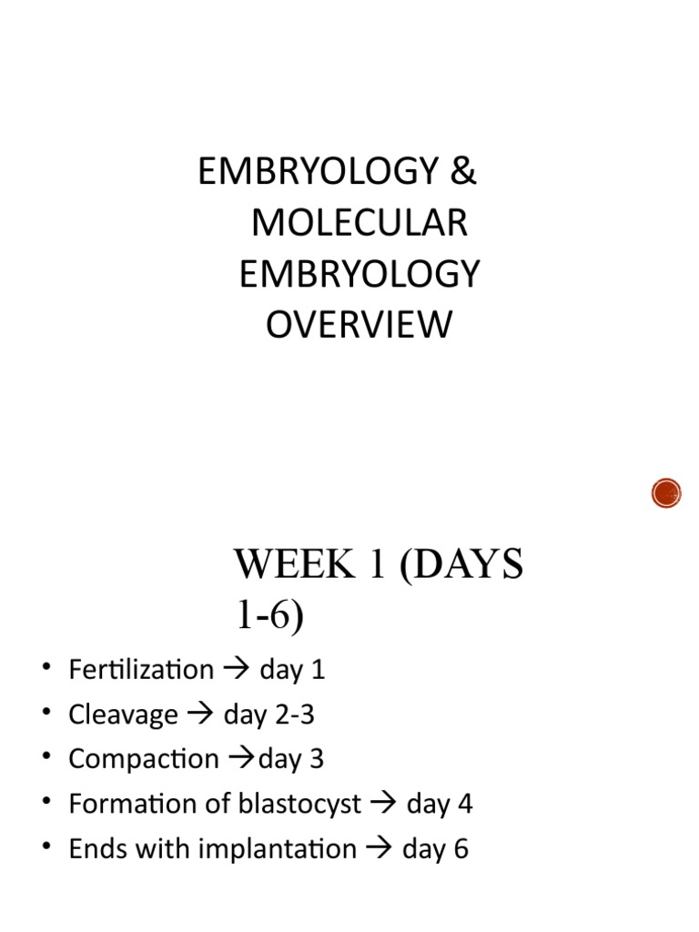Embryology: Key Stages and Processes | PDF | Implantation (Human Embryo ...
