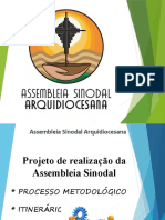 Assembleia Sinodal Arquidiocesana: Processo e Dinâmica