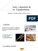 Absorción y Digestión de Lípidos