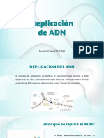 Replicacion de ADN