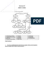 Worksheet 3.5 Break It Down !: Objective: Identify The Parts of The Nervous System