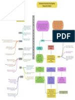 Research in Motion Estructura Funcional